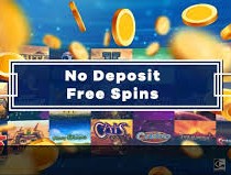 casino no deposit free spins 2024